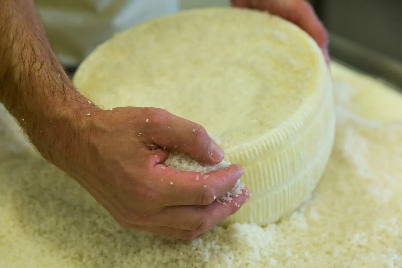 Salage du fromage